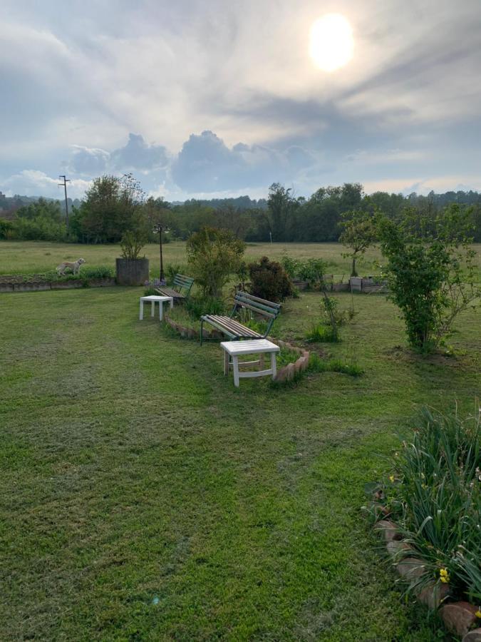 B&B Mulino Marsa CastellʼArquato Exteriör bild