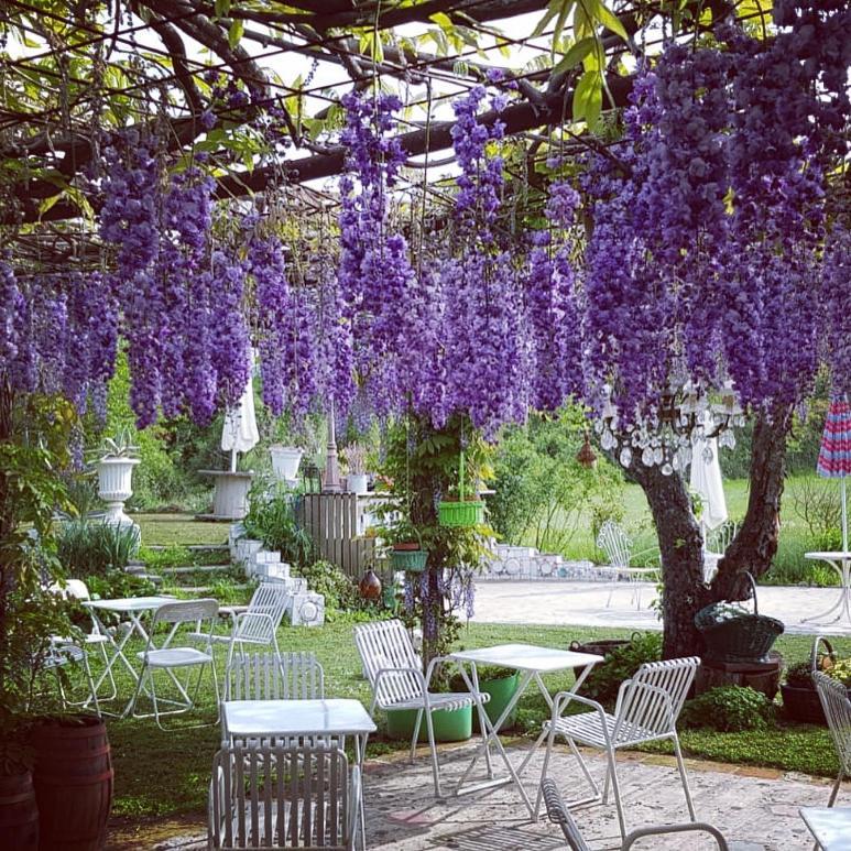 B&B Mulino Marsa CastellʼArquato Exteriör bild