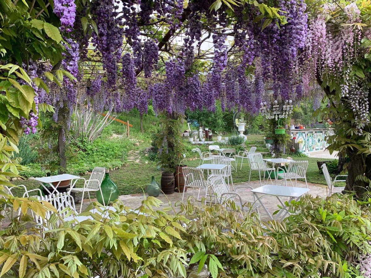 B&B Mulino Marsa CastellʼArquato Exteriör bild