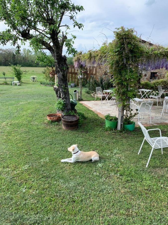 B&B Mulino Marsa CastellʼArquato Exteriör bild