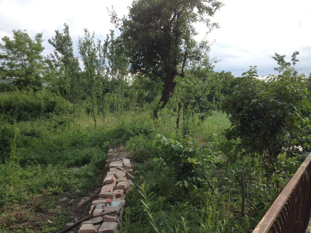 B&B Mulino Marsa CastellʼArquato Rum bild